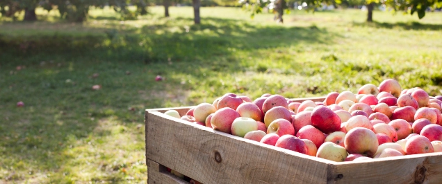 Regulating the barrel to stop the bad apples