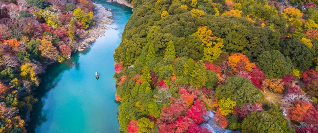 Japan pledges commitment to greater human rights protection through new guidelines for businesses