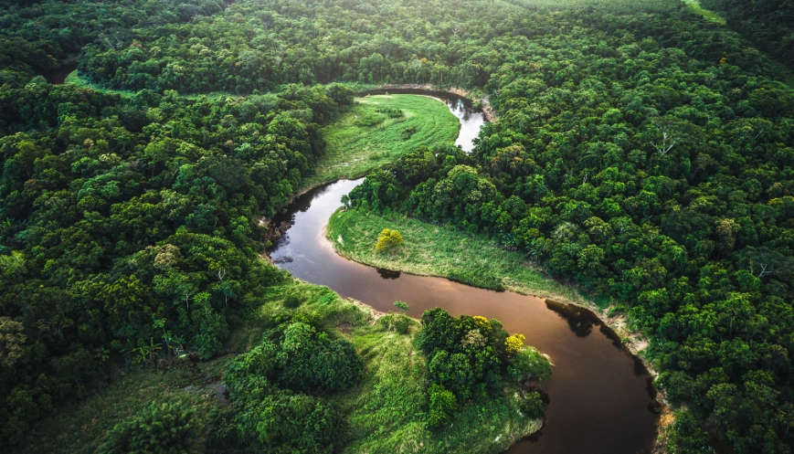 COP26 - Nature based solutions